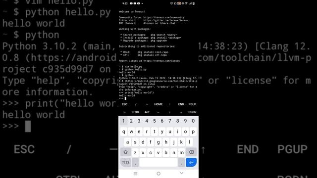 TERMUX - How to use Python Interpreter on an Android phone | Paano gamitin ang python interpreter смотреть онлайн