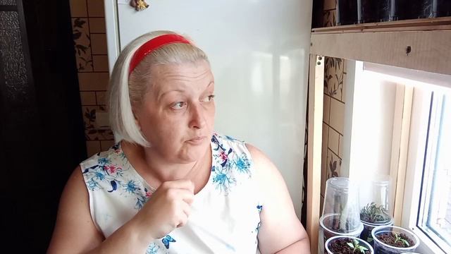 ?Рассада в квартире?внесение удобрений необходимо? смотреть онлайн