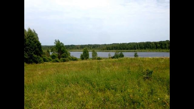 Цепочка Селигерских озёр д. Нивы на озере Лемно смотреть онлайн