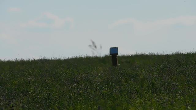 Атаман МЛ-15. Дистанция 100 метров смотреть онлайн