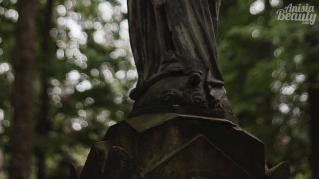 ?Поэтическая прогулка по старинным кладбищам Вильнюса (ко Дню Всех Святых) | Anisia Beauty ? смотреть онлайн