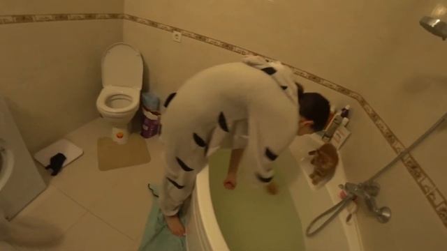 Я ХАЛК и Мы купаем Мейн-Куна Симбу! смотреть онлайн