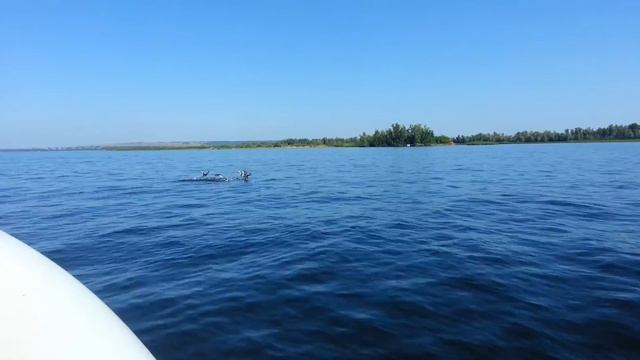 Ямаха 9.9-15 смотреть онлайн