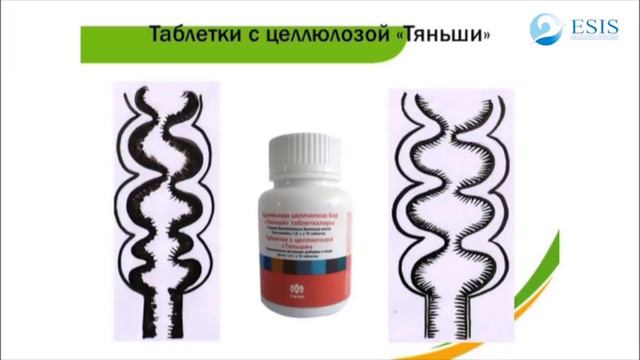 Школа по продукту смотреть онлайн