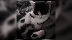 flёur - формалин (speed up)