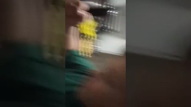 Печём шарлотку смотреть онлайн