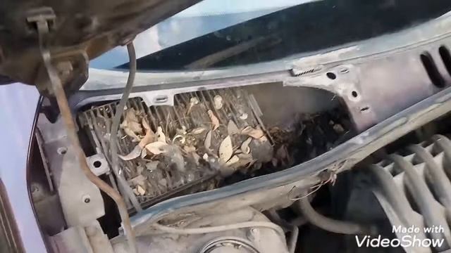 Жесть, прикол с авто. Семь лет не меняли фильтр! смотреть онлайн