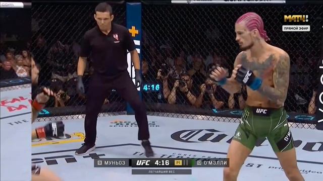 UFC 276: Шон О’Мэлли - Педро Муньоз Полный Бой! смотреть онлайн