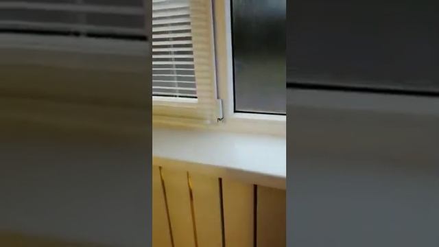 27 апреля 2021 г. смотреть онлайн