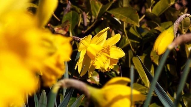 Panasonic G2 PTool V3.40D FW Hack 720p HD Sample Video смотреть онлайн