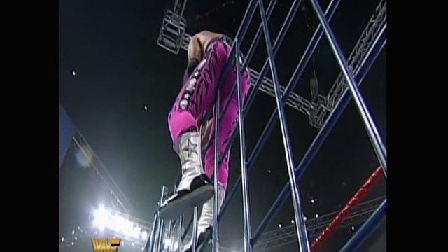 Summerslam 1994 - Owen Hart Vs Bret Hart - Steel Cage
