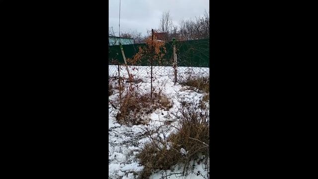 Привет дача 2 смотреть онлайн