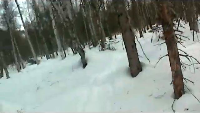 How to haul Firewood in Winter. How I gather firewood. (with a snowmobile). смотреть онлайн