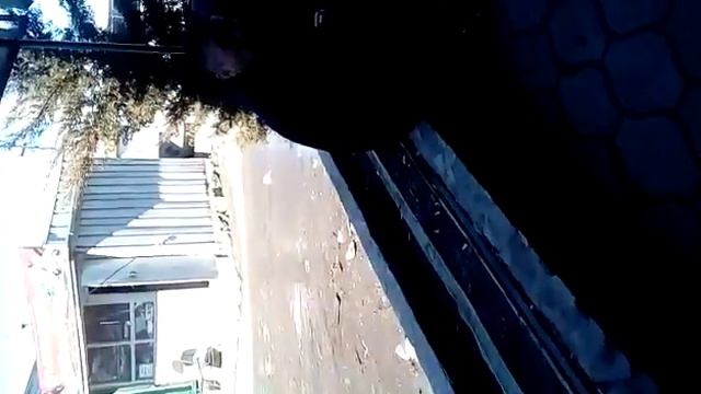 Дед читает треп смотреть онлайн