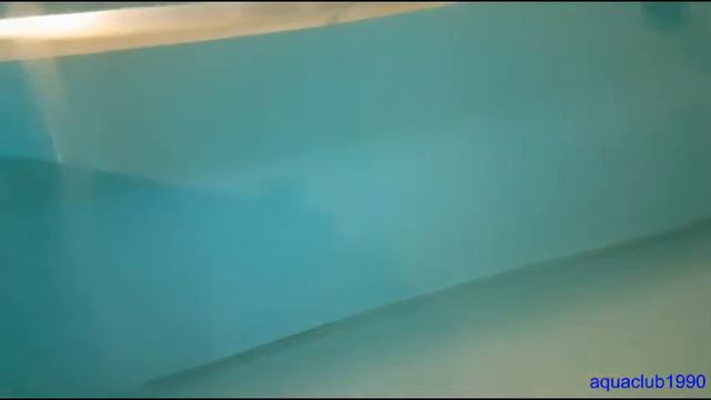 Водорослеед crossocheilus latius latus смотреть онлайн