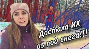 Шикарные монеты прятались под снегом! Коп с  Gold Hunter B75.