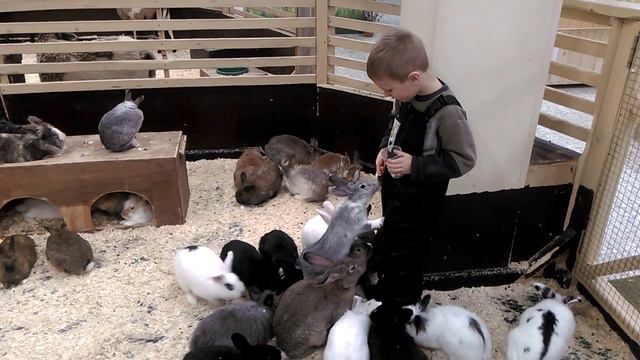 Влад и кролики)) смотреть онлайн