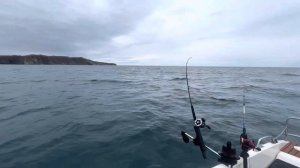 Троллинг, Сима .  Старые точки .