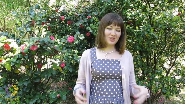 Как начать получать дары от жизни (видео-уроки от Ирины Стояновской) смотреть онлайн