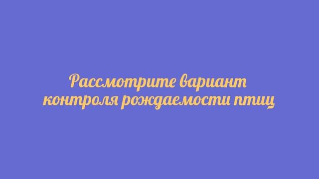 Как избавиться от голубей смотреть онлайн