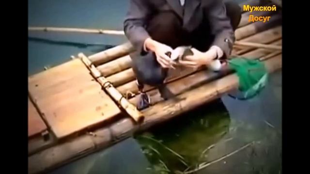 Рыбалка с бакланами. Китай. смотреть онлайн