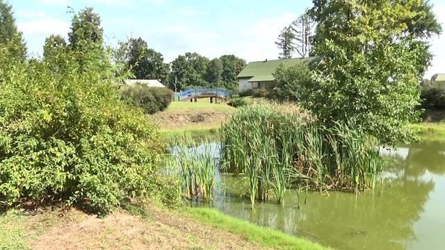 Десять лет назад заложили первый и единственный на Пинщине дендропарк смотреть онлайн