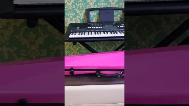 скрипка футляр канифоль струны смотреть онлайн