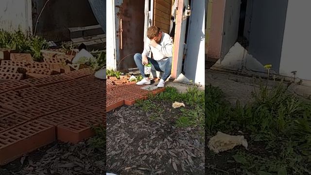 Кирилл Сергеевич смотреть онлайн