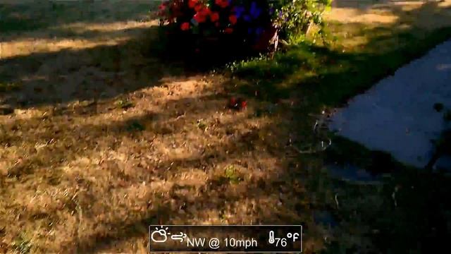 RC Logger EYE One S - Beginner Mode Practice: #1 [Lumia 640] смотреть онлайн