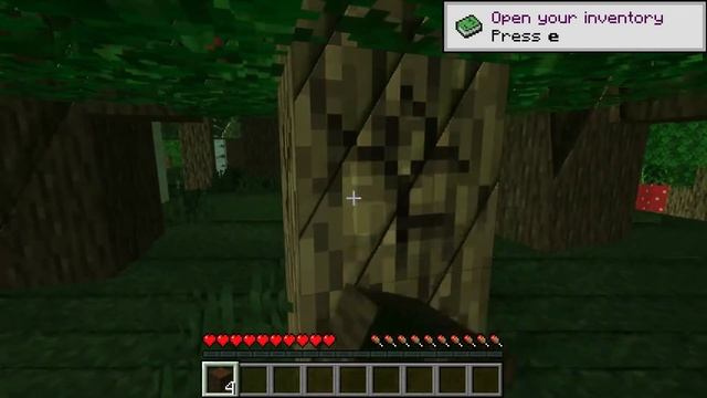 Minecraft :I just installed my first shader, SEUS PTGI HRR Test 2.1, using optifine 1.19, anyone смотреть онлайн