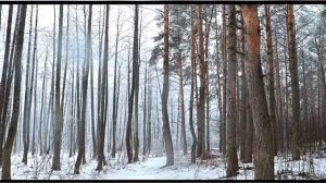 Заговор отвадить от дома нежеланных гостей.mp4