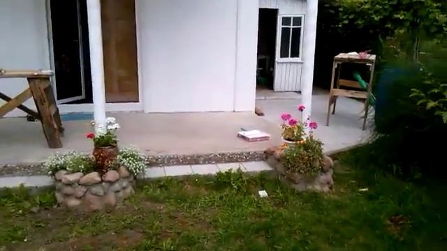 Ремонт дома. Наружная отделка. Кварцевый песок. Столбы под навесом. смотреть онлайн