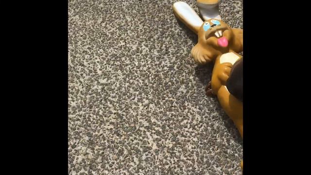 Kenzo mon sharpei смотреть онлайн