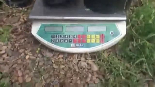 разбор 10 компрессоров смотреть онлайн