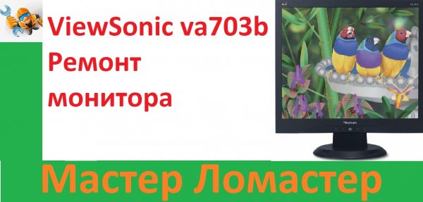 ViewSonic va703b Ремонт монитора