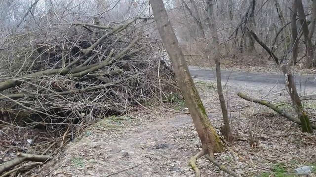 Samsung S10e ВСЕ ВИДЕО ПРИМЕРЫ ВОЗМОЖНОСТИ КАМЕРЫ смотреть онлайн