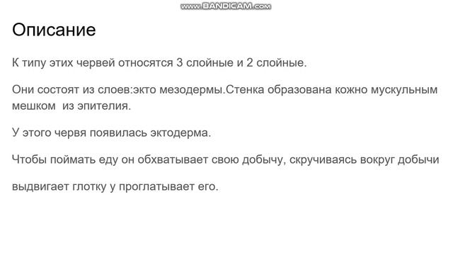 Тип плоские черви. смотреть онлайн