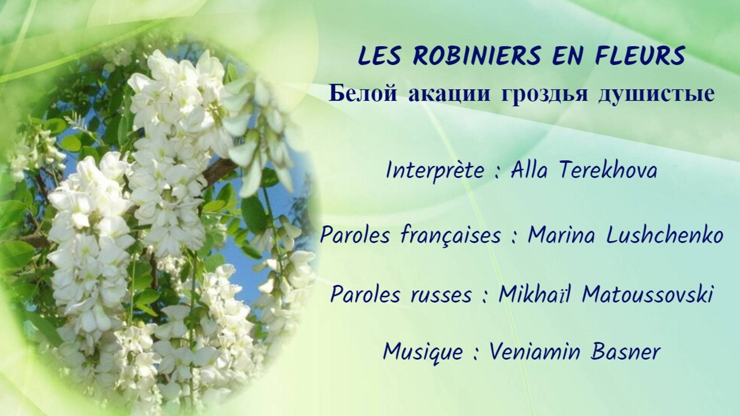 LES ROBINIERS EN FLEUR (chanson russe en français) – БЕЛОЙ АКАЦИИ ГРОЗДЬЯ ДУШИСТЫЕ (на французском) смотреть онлайн