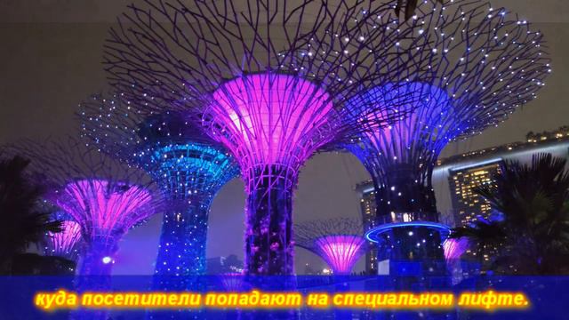 🔴Сингапур🔴Место где оживает сказка🔴Садовая рапсодия🔴Свето музыкальное шоу🔴Singapore🔴Garden Show🔴 смотреть онлайн