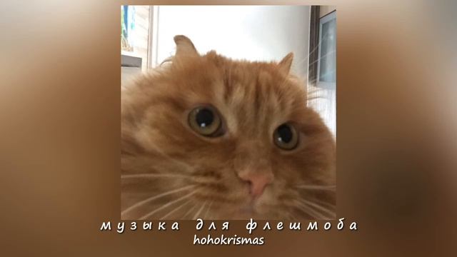 ♡музыка для флешмоба♡/песни из тик тока/♡ смотреть онлайн