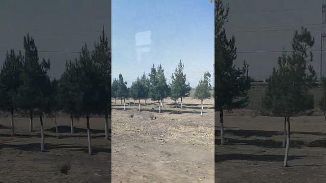 Ташкент облость.Барданкуль.Токал Болта.Новыи дом. смотреть онлайн