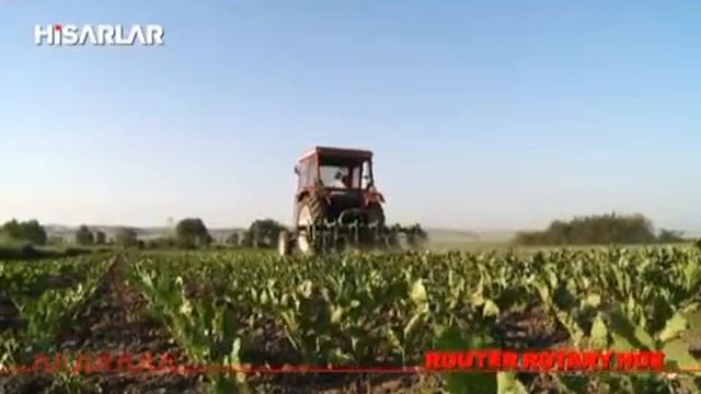 Культиватор междурядный ST-STY смотреть онлайн