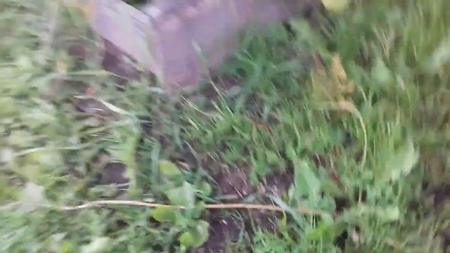 ГОТОВИМ ГРЯДКУ , ДЛЯ ПОСАДКИ ОЗИМОГО ЧЕСНОКА ! смотреть онлайн