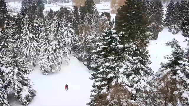 Kyiv Winter love story смотреть онлайн