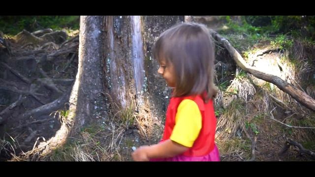 HEIDY ? story video смотреть онлайн