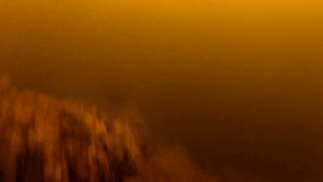 Подводная охота на судака "Осенний судак 2" смотреть онлайн