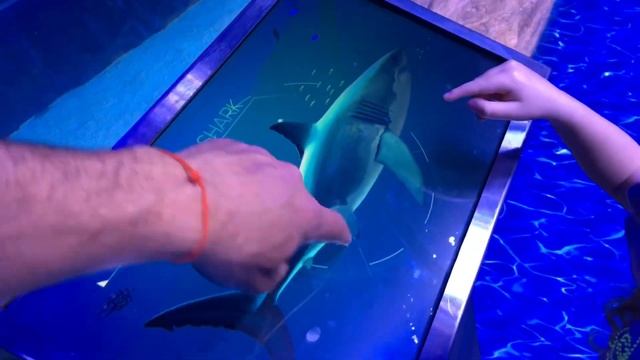 ДУБАЙ DUBAI MALL САМЫЙ БОЛЬШОЙ АКВАРИУМ В МИРЕ DUBAI MALL AQUARIUMT