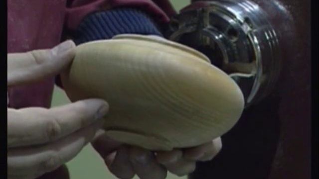 Hollowing & box making with the Robert Sorby Multi tip tool смотреть онлайн
