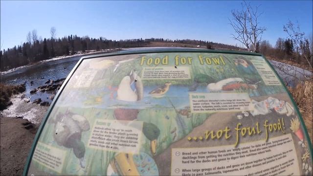 #944 США Аляска Прогулка к озеру с Элей Утки Серьги Вышивка смотреть онлайн