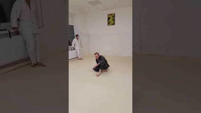 Падение вперед и назад. Хапкидо смотреть онлайн